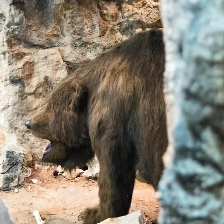 Pensjonat Gradina - Riserva Naturale Dei Laghi Di Doberdo E Pietrarossa *